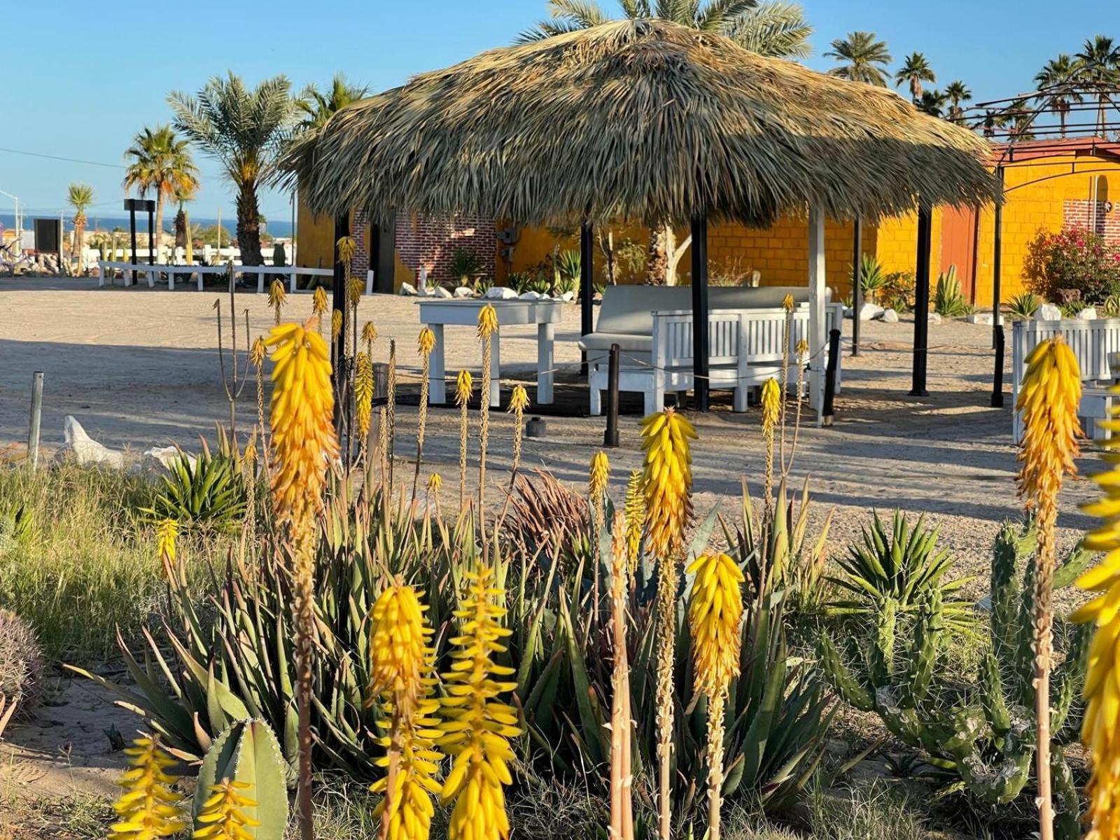 Hotel Las Palmas San Felipe  Eksteriør bilde