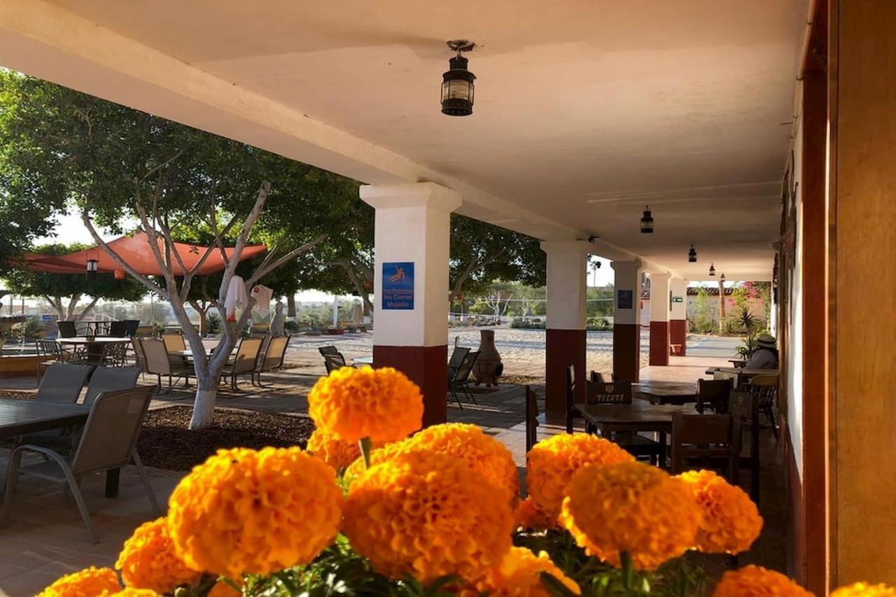 Hotel Las Palmas San Felipe  Eksteriør bilde